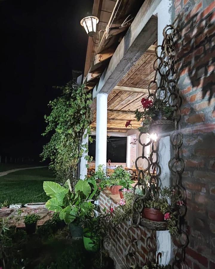 Apartamento Amanet House Zasavica Exterior foto
